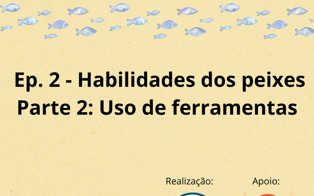 Série A mente dos peixes – Habilidades dos Peixes: Parte 2: Uso de Ferramentas