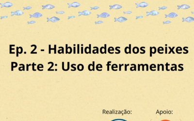 Série A mente dos peixes – Habilidades dos Peixes: Parte 2: Uso de Ferramentas